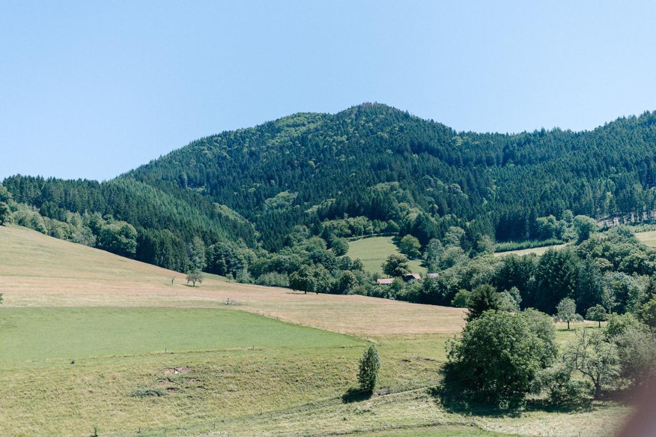 Moderne 2 Zi.-Fewo Blackforest Art Naehe Freiburg Simonswald Εξωτερικό φωτογραφία